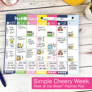 NEW! Dream Gift Planner Bundle | 2024-25 Reminder Binder® Planner | [2] Planner Pads, Pocket Notebook & Mini Desktop Calendar